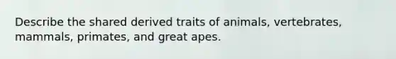 Describe the shared derived traits of animals, vertebrates, mammals, primates, and great apes.