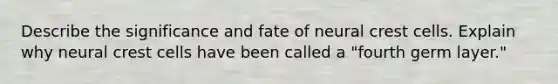 Describe the significance and fate of neural crest cells. Explain why neural crest cells have been called a "fourth germ layer."