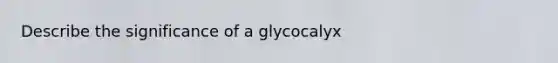 Describe the significance of a glycocalyx