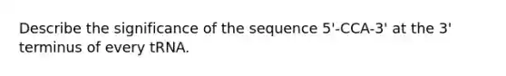 Describe the significance of the sequence 5'-CCA-3' at the 3' terminus of every tRNA.