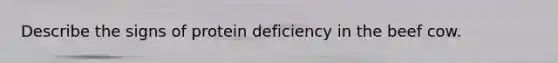 Describe the signs of protein deficiency in the beef cow.