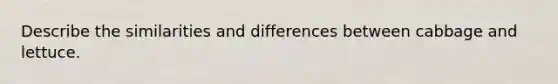 Describe the similarities and differences between cabbage and lettuce.