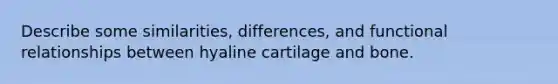 Describe some similarities, differences, and functional relationships between hyaline cartilage and bone.