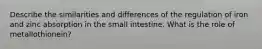 Describe the similarities and differences of the regulation of iron and zinc absorption in the small intestine. What is the role of metallothionein?