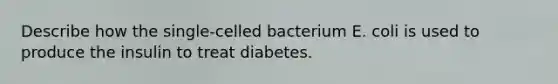 Describe how the single-celled bacterium E. coli is used to produce the insulin to treat diabetes.