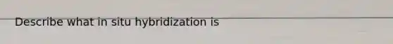 Describe what in situ hybridization is