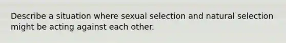 Describe a situation where sexual selection and natural selection might be acting against each other.