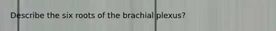 Describe the six roots of the brachial plexus?