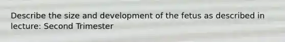 Describe the size and development of the fetus as described in lecture: Second Trimester