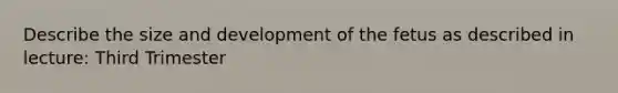 Describe the size and development of the fetus as described in lecture: Third Trimester