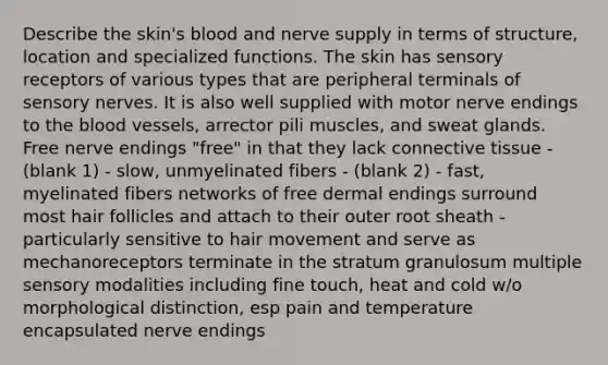 Describe the skin's blood and nerve supply in terms of structure, location and specialized functions. The skin has sensory receptors of various types that are peripheral terminals of sensory nerves. It is also well supplied with motor nerve endings to the blood vessels, arrector pili muscles, and sweat glands. Free nerve endings "free" in that they lack connective tissue - (blank 1) - slow, unmyelinated fibers - (blank 2) - fast, myelinated fibers networks of free dermal endings surround most hair follicles and attach to their outer root sheath - particularly sensitive to hair movement and serve as mechanoreceptors terminate in the stratum granulosum multiple sensory modalities including fine touch, heat and cold w/o morphological distinction, esp pain and temperature encapsulated nerve endings