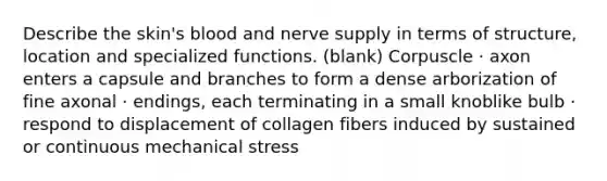 Describe the skin's blood and nerve supply in terms of structure, location and specialized functions. (blank) Corpuscle · axon enters a capsule and branches to form a dense arborization of fine axonal · endings, each terminating in a small knoblike bulb · respond to displacement of collagen fibers induced by sustained or continuous mechanical stress