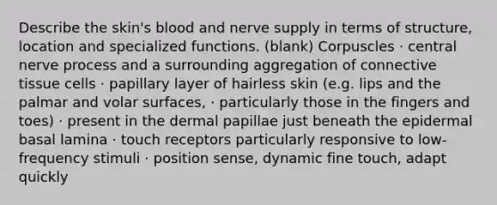 Describe the skin's blood and nerve supply in terms of structure, location and specialized functions. (blank) Corpuscles · central nerve process and a surrounding aggregation of connective tissue cells · papillary layer of hairless skin (e.g. lips and the palmar and volar surfaces, · particularly those in the fingers and toes) · present in the dermal papillae just beneath the epidermal basal lamina · touch receptors particularly responsive to low-frequency stimuli · position sense, dynamic fine touch, adapt quickly