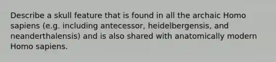 Describe a skull feature that is found in all the archaic Homo sapiens (e.g. including antecessor, heidelbergensis, and neanderthalensis) and is also shared with anatomically modern Homo sapiens.