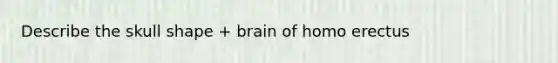 Describe the skull shape + brain of homo erectus