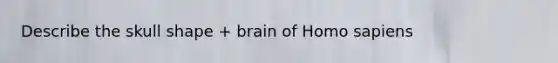 Describe the skull shape + brain of Homo sapiens