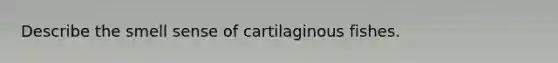 Describe the smell sense of cartilaginous fishes.