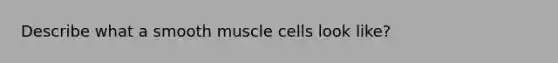 Describe what a smooth muscle cells look like?