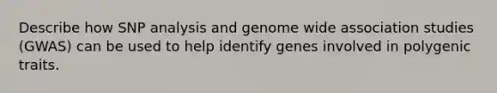 Describe how SNP analysis and genome wide association studies (GWAS) can be used to help identify genes involved in polygenic traits.