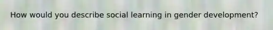 How would you describe social learning in gender development?