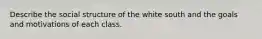 Describe the social structure of the white south and the goals and motivations of each class.