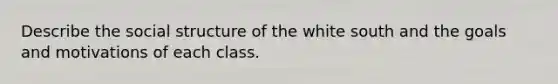 Describe the social structure of the white south and the goals and motivations of each class.