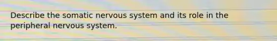 Describe the somatic nervous system and its role in the peripheral nervous system.