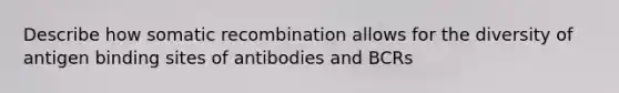 Describe how somatic recombination allows for the diversity of antigen binding sites of antibodies and BCRs