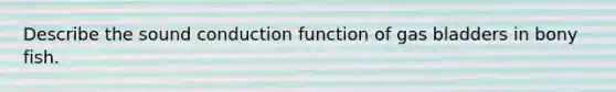 Describe the sound conduction function of gas bladders in bony fish.