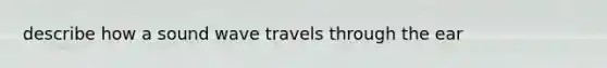 describe how a sound wave travels through the ear