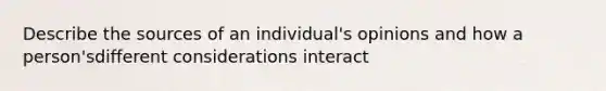 Describe the sources of an individual's opinions and how a person'sdifferent considerations interact