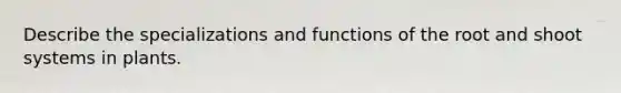 Describe the specializations and functions of the root and shoot systems in plants.