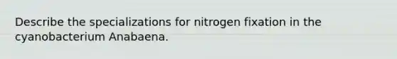 Describe the specializations for nitrogen fixation in the cyanobacterium Anabaena.