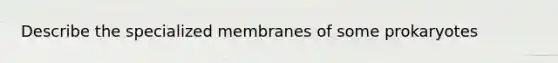 Describe the specialized membranes of some prokaryotes