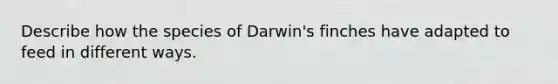 Describe how the species of Darwin's finches have adapted to feed in different ways.