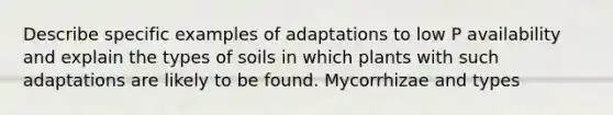 Describe specific examples of adaptations to low P availability and explain the types of soils in which plants with such adaptations are likely to be found. Mycorrhizae and types