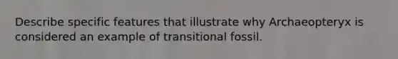 Describe specific features that illustrate why Archaeopteryx is considered an example of transitional fossil.