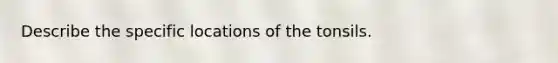 Describe the specific locations of the tonsils.