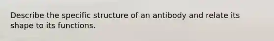 Describe the specific structure of an antibody and relate its shape to its functions.