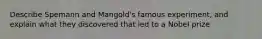 Describe Spemann and Mangold's famous experiment, and explain what they discovered that led to a Nobel prize
