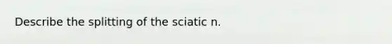 Describe the splitting of the sciatic n.