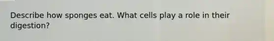 Describe how sponges eat. What cells play a role in their digestion?