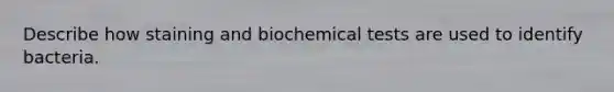 Describe how staining and biochemical tests are used to identify bacteria.