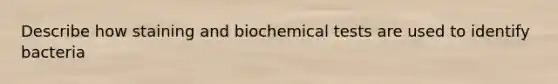 Describe how staining and biochemical tests are used to identify bacteria