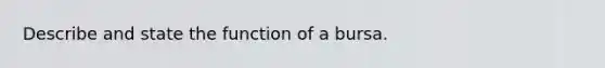 Describe and state the function of a bursa.