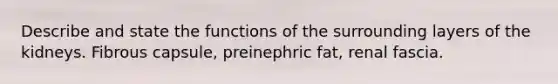 Describe and state the functions of the surrounding layers of the kidneys. Fibrous capsule, preinephric fat, renal fascia.