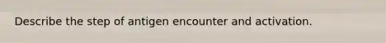 Describe the step of antigen encounter and activation.