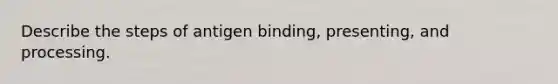 Describe the steps of antigen binding, presenting, and processing.