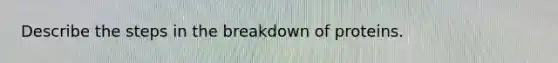 Describe the steps in the breakdown of proteins.