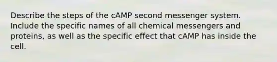 Describe the steps of the cAMP second messenger system. Include the specific names of all chemical messengers and proteins, as well as the specific effect that cAMP has inside the cell.